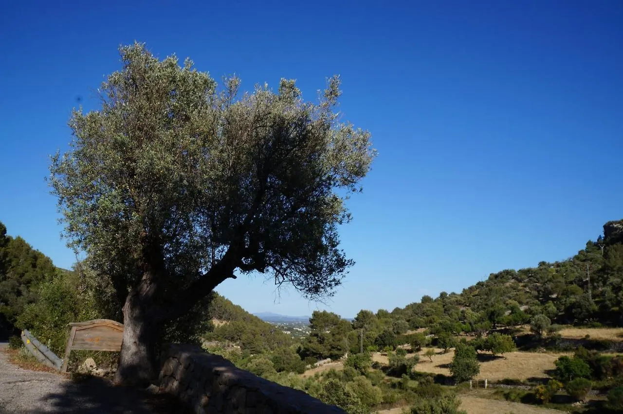 Country house Agroturismo Finca Can Sec Alaro Spain