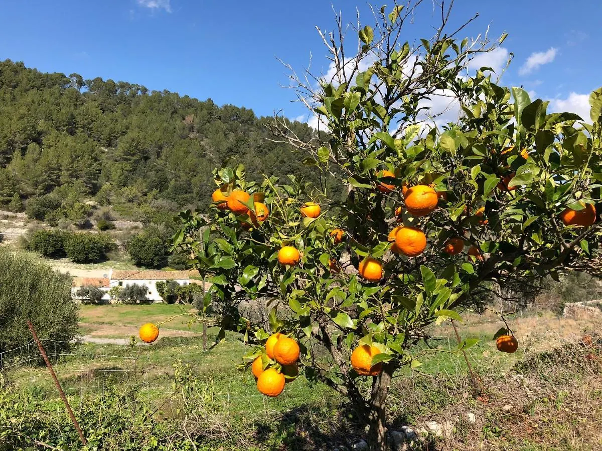 Country house Agroturismo Finca Can Sec Alaro