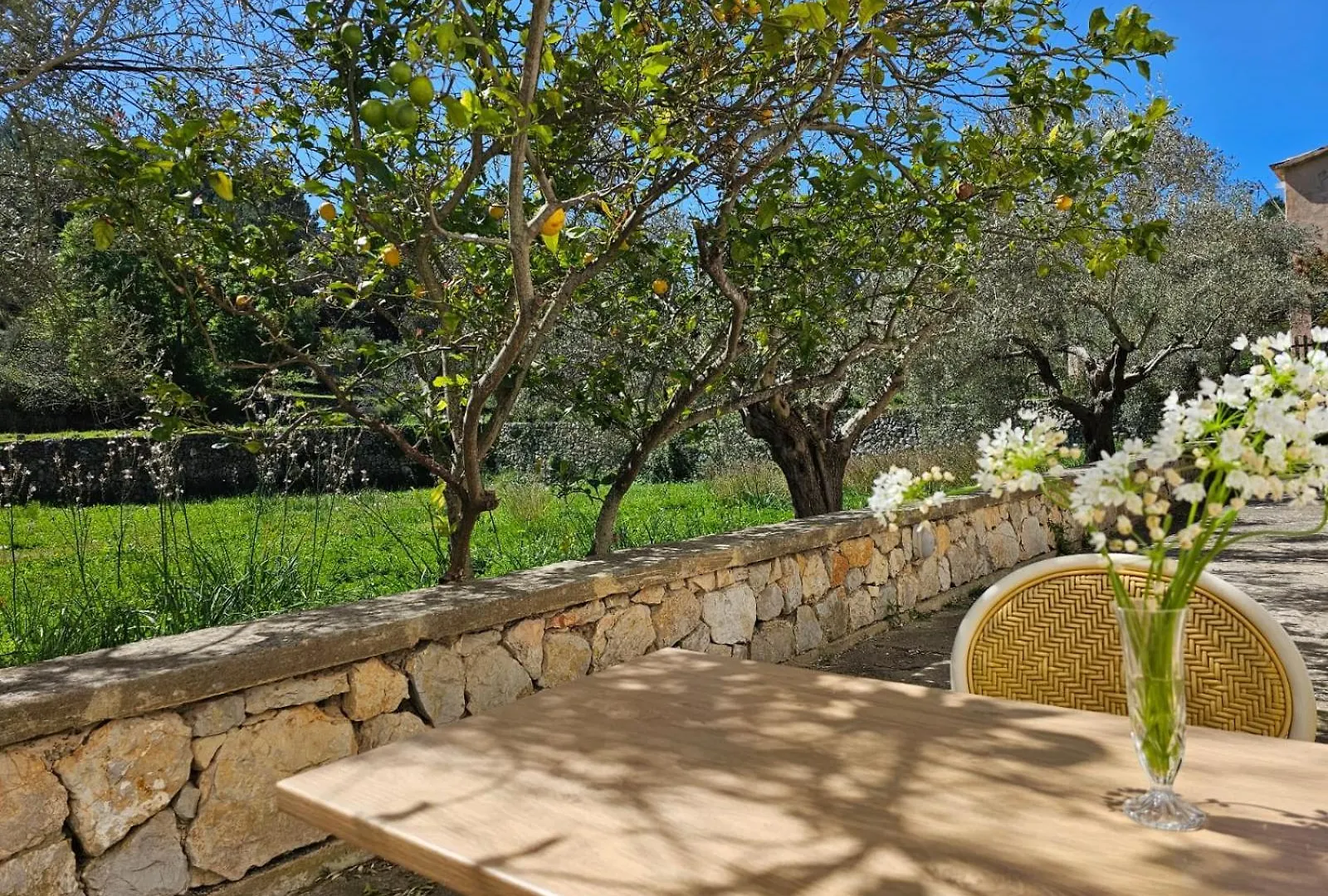 Séjour à la campagne Agroturismo Finca Can Sec Alaró