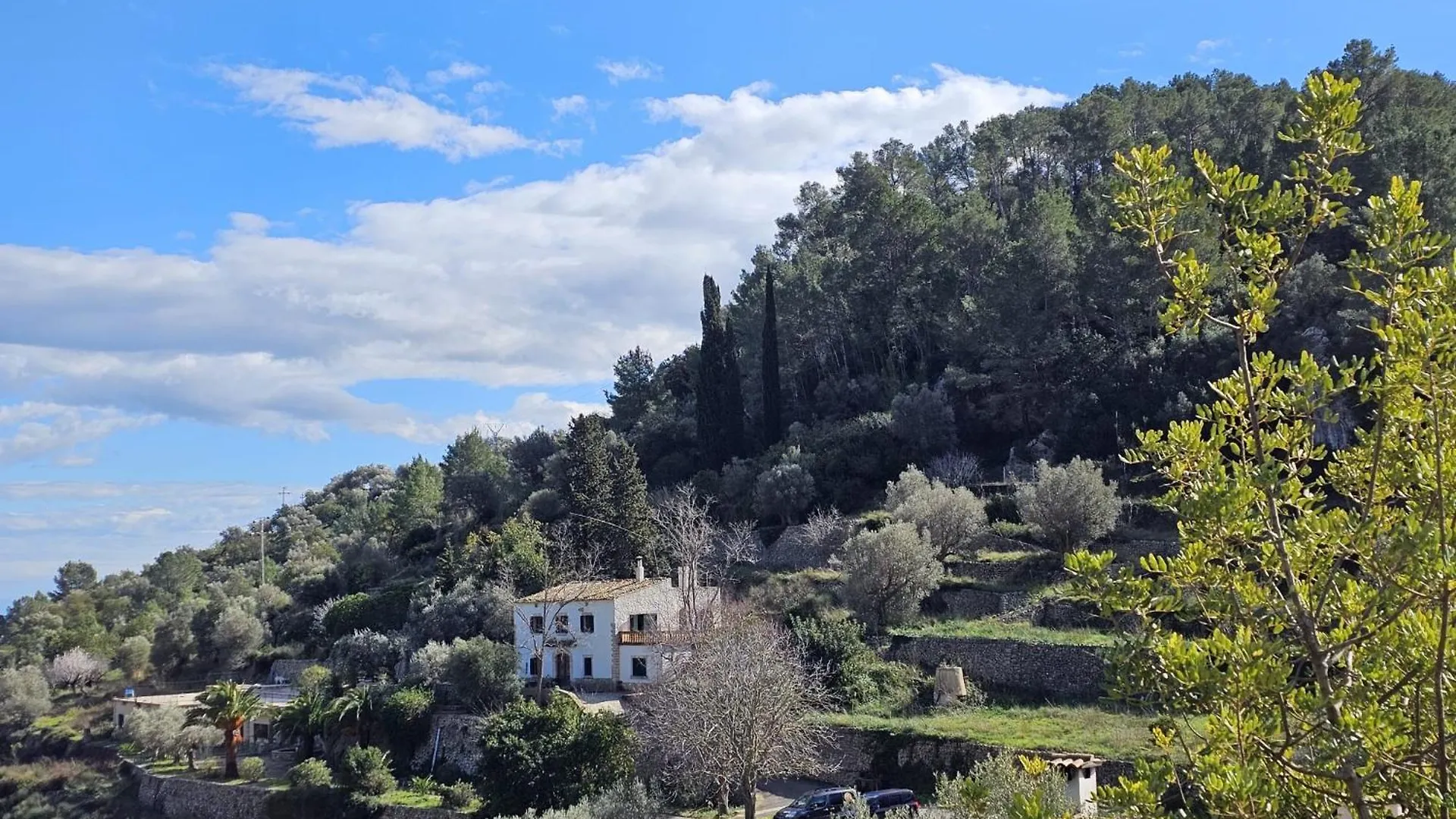 Séjour à la campagne Agroturismo Finca Can Sec Alaró