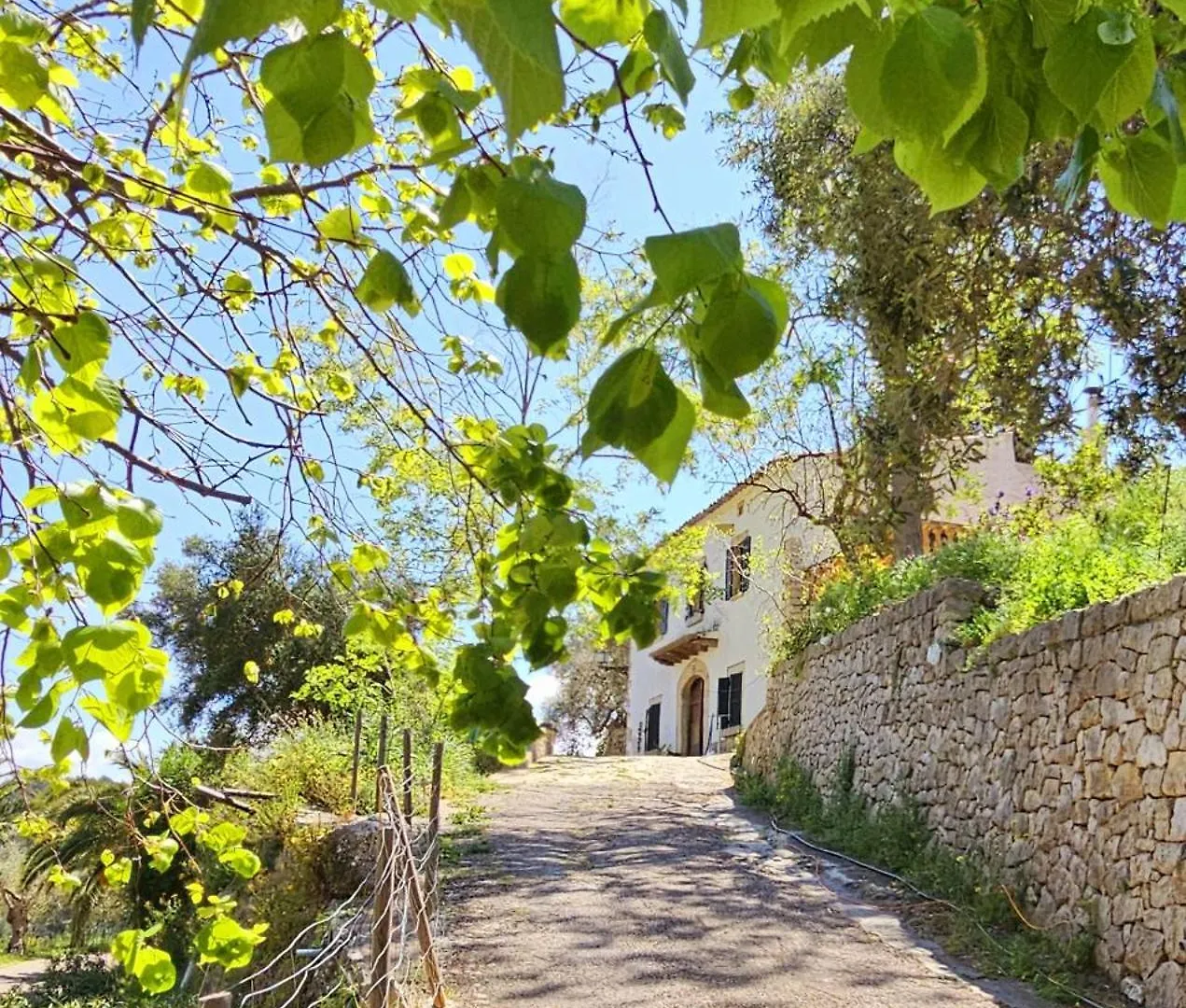 Country house Agroturismo Finca Can Sec Alaro Spain