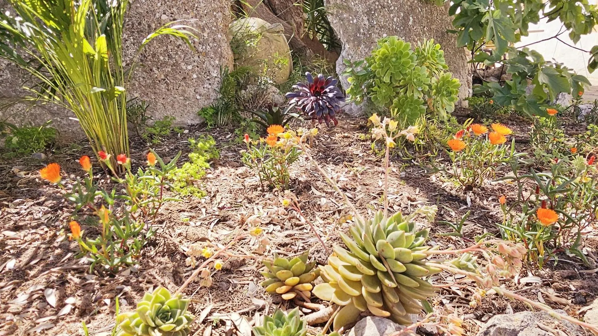 Agroturismo Finca Can Sec Alaro
