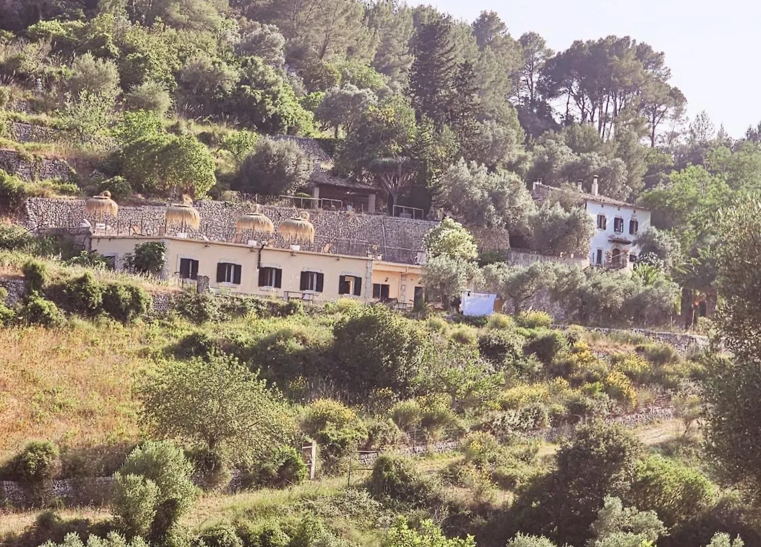 Séjour à la campagne Agroturismo Finca Can Sec Alaró