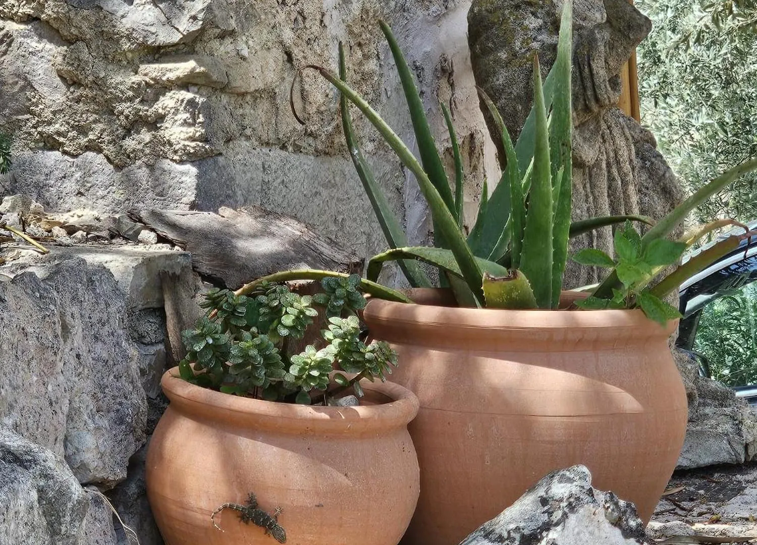 Agroturismo Finca Can Sec Alaro 0*,  Spain